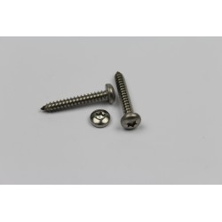 RVS Cilinderkop torx