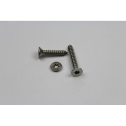 RVS Platkop verzonken torx